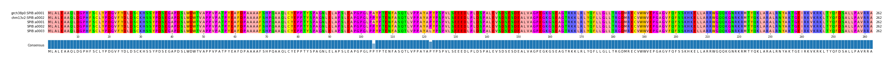 Multiple Alignments (by translate haplotype frequency)