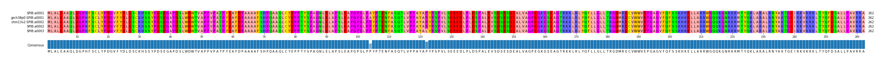 Multiple Alignments (by translate haplotype similarity)