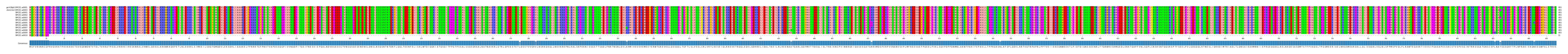Multiple Alignments (by translate haplotype frequency)