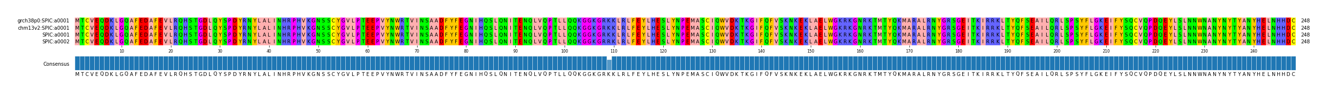 Multiple Alignments (by translate haplotype similarity)