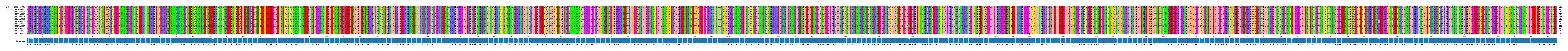Multiple Alignments (by translate haplotype frequency)