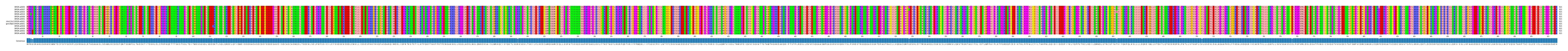 Multiple Alignments (by translate haplotype similarity)
