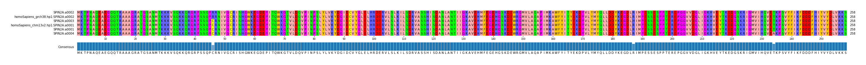 Multiple Alignments (by translate haplotype similarity)