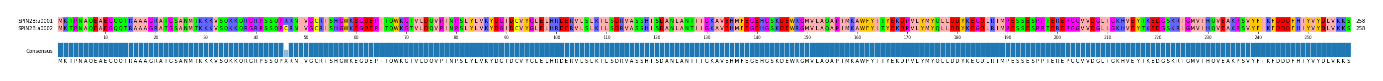 Multiple Alignments (by translate haplotype frequency)