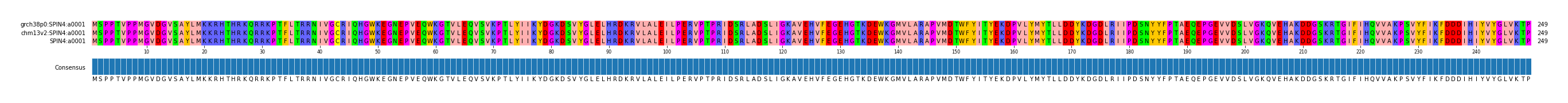 Multiple Alignments (by translate haplotype similarity)