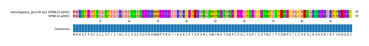 Multiple Alignments (by translate haplotype similarity)