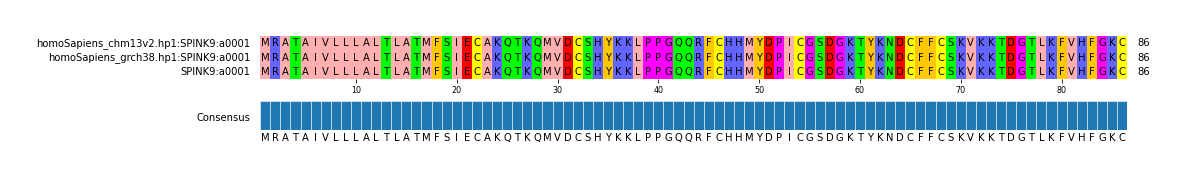 Multiple Alignments (by translate haplotype frequency)