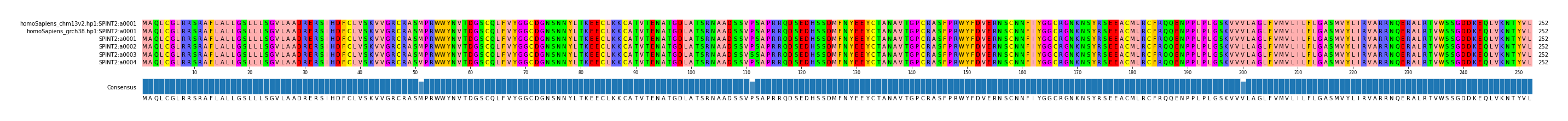 Multiple Alignments (by translate haplotype frequency)