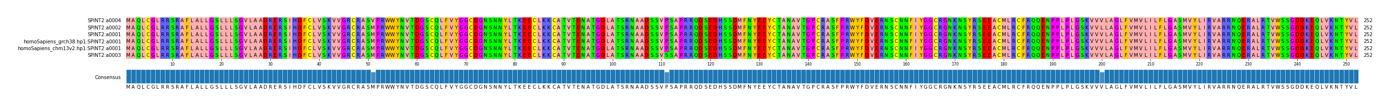 Multiple Alignments (by translate haplotype similarity)