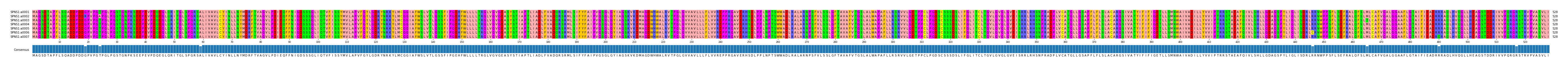 Multiple Alignments (by translate haplotype frequency)