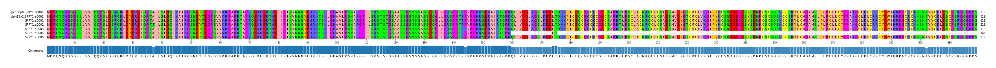 Multiple Alignments (by translate haplotype frequency)