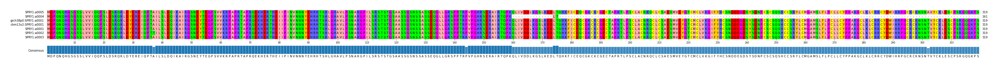 Multiple Alignments (by translate haplotype similarity)