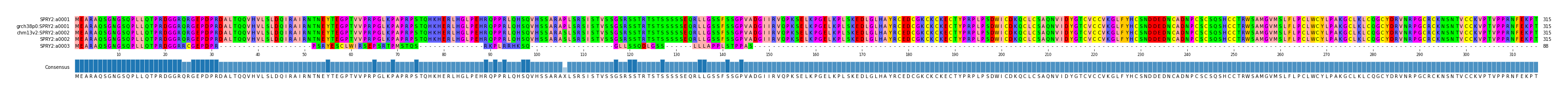 Multiple Alignments (by translate haplotype similarity)