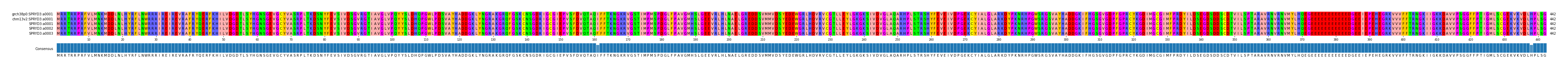 Multiple Alignments (by translate haplotype frequency)