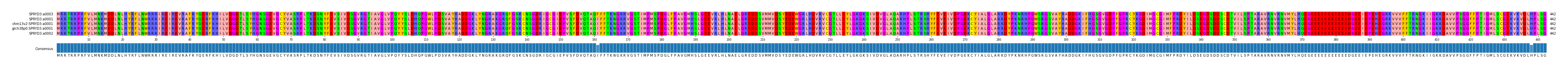 Multiple Alignments (by translate haplotype similarity)