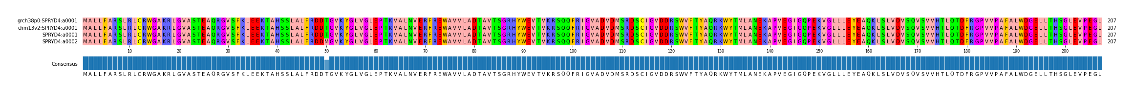 Multiple Alignments (by translate haplotype similarity)