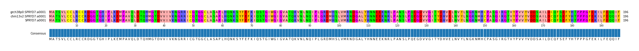 Multiple Alignments (by translate haplotype similarity)
