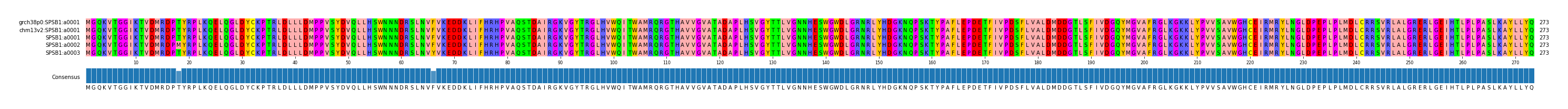 Multiple Alignments (by translate haplotype frequency)