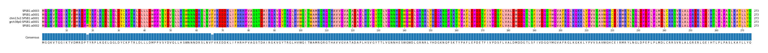 Multiple Alignments (by translate haplotype similarity)