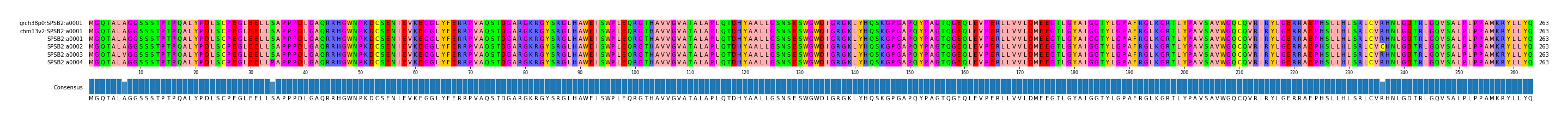 Multiple Alignments (by translate haplotype frequency)