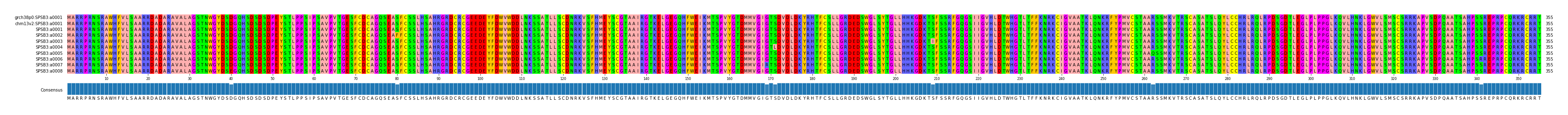 Multiple Alignments (by translate haplotype frequency)