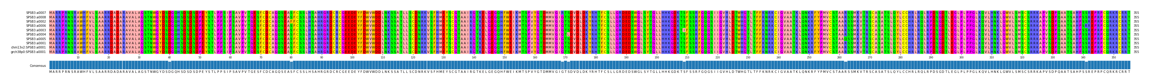 Multiple Alignments (by translate haplotype similarity)