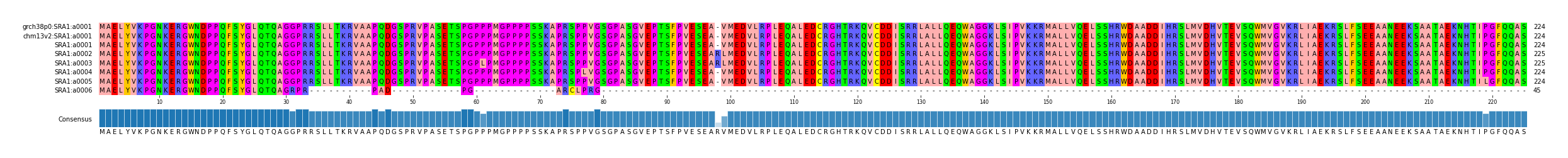 Multiple Alignments (by translate haplotype frequency)