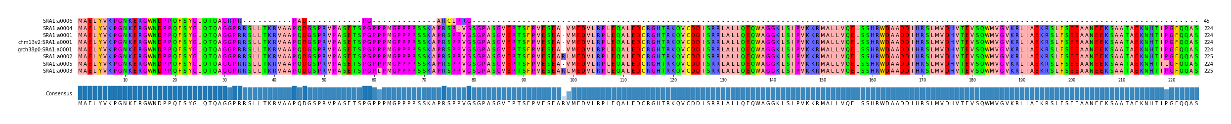 Multiple Alignments (by translate haplotype similarity)