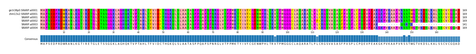 Multiple Alignments (by translate haplotype frequency)