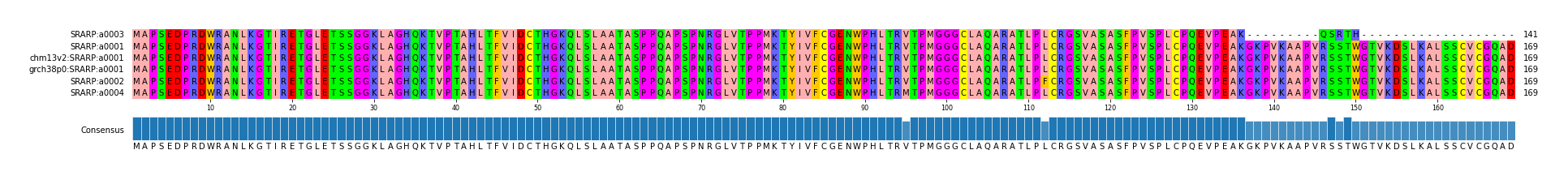 Multiple Alignments (by translate haplotype similarity)