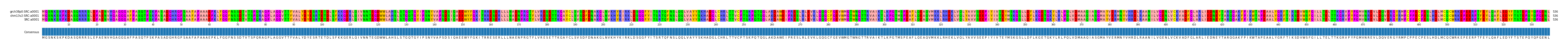 Multiple Alignments (by translate haplotype similarity)