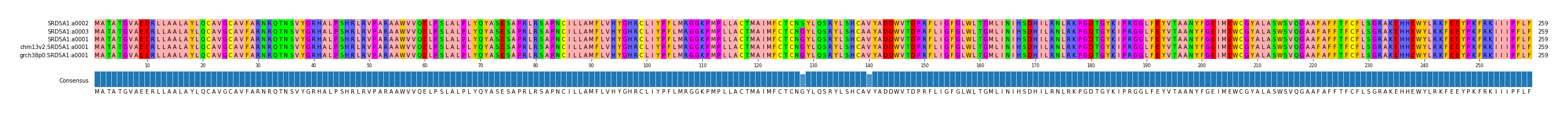 Multiple Alignments (by translate haplotype similarity)