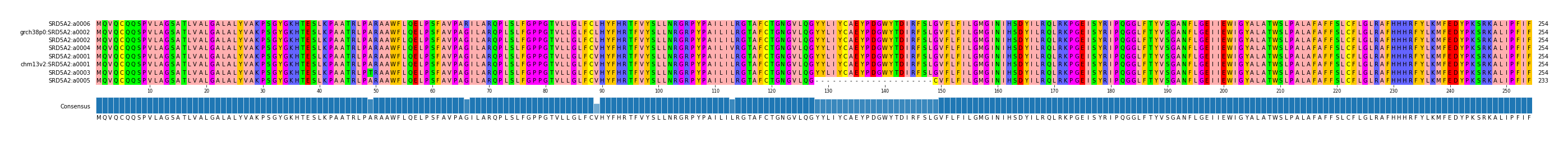Multiple Alignments (by translate haplotype similarity)