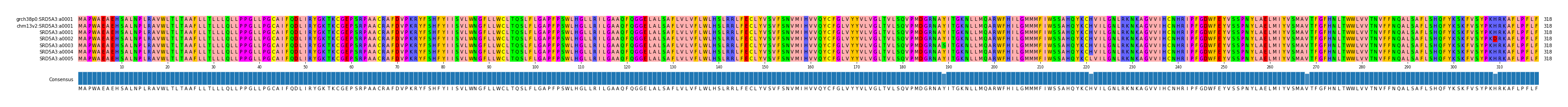 Multiple Alignments (by translate haplotype frequency)