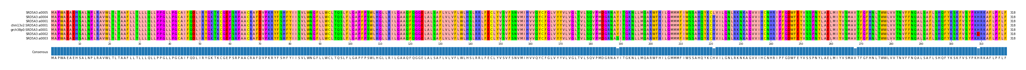 Multiple Alignments (by translate haplotype similarity)