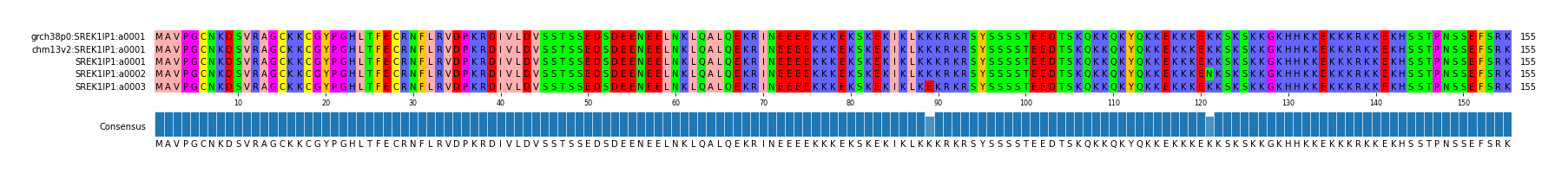 Multiple Alignments (by translate haplotype frequency)