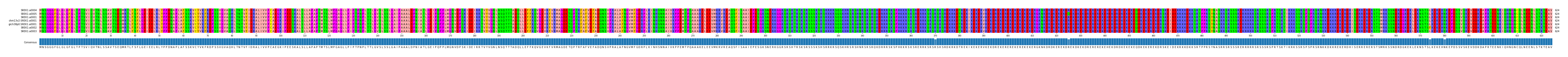 Multiple Alignments (by translate haplotype similarity)
