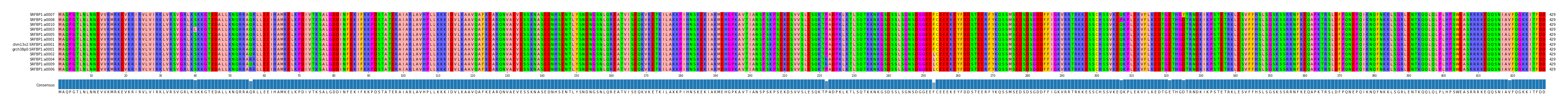 Multiple Alignments (by translate haplotype similarity)