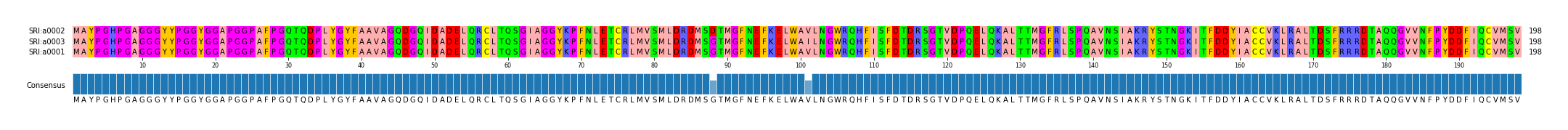 Multiple Alignments (by translate haplotype similarity)