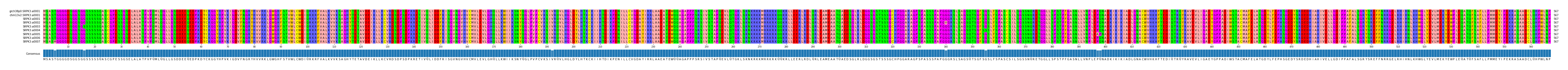 Multiple Alignments (by translate haplotype frequency)