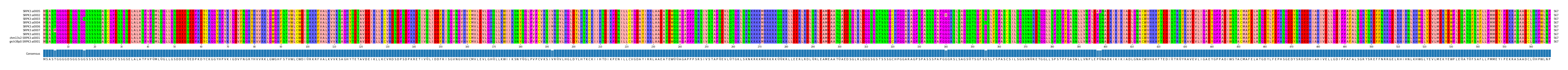 Multiple Alignments (by translate haplotype similarity)