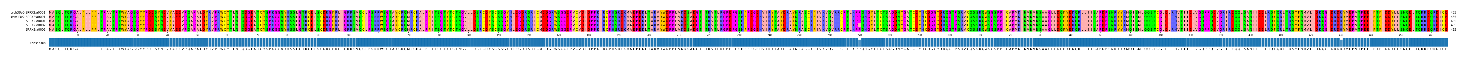 Multiple Alignments (by translate haplotype frequency)