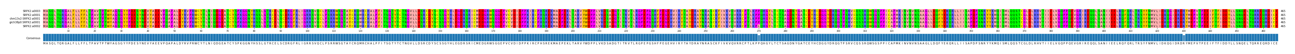 Multiple Alignments (by translate haplotype similarity)