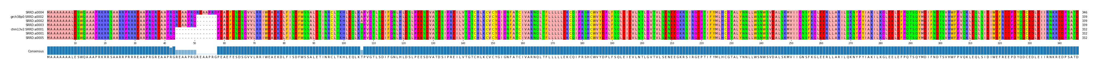 Multiple Alignments (by translate haplotype similarity)