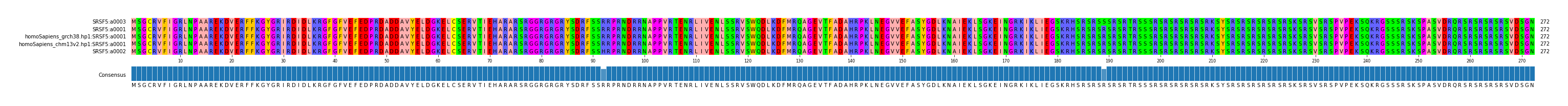 Multiple Alignments (by translate haplotype similarity)