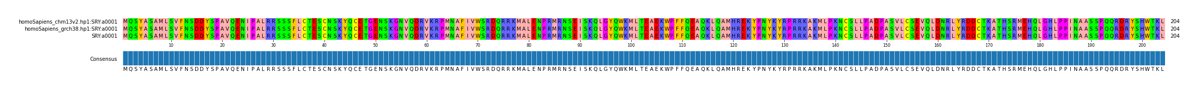 Multiple Alignments (by translate haplotype similarity)