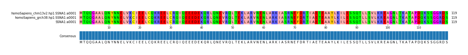 Multiple Alignments (by translate haplotype similarity)
