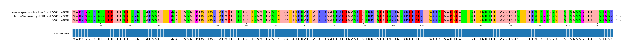 Multiple Alignments (by translate haplotype similarity)