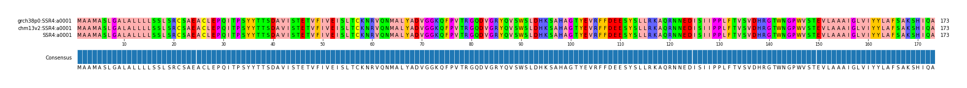 Multiple Alignments (by translate haplotype similarity)