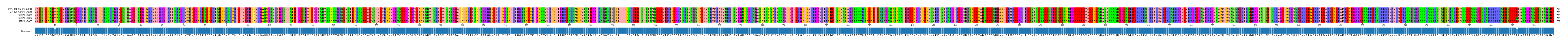 Multiple Alignments (by translate haplotype frequency)